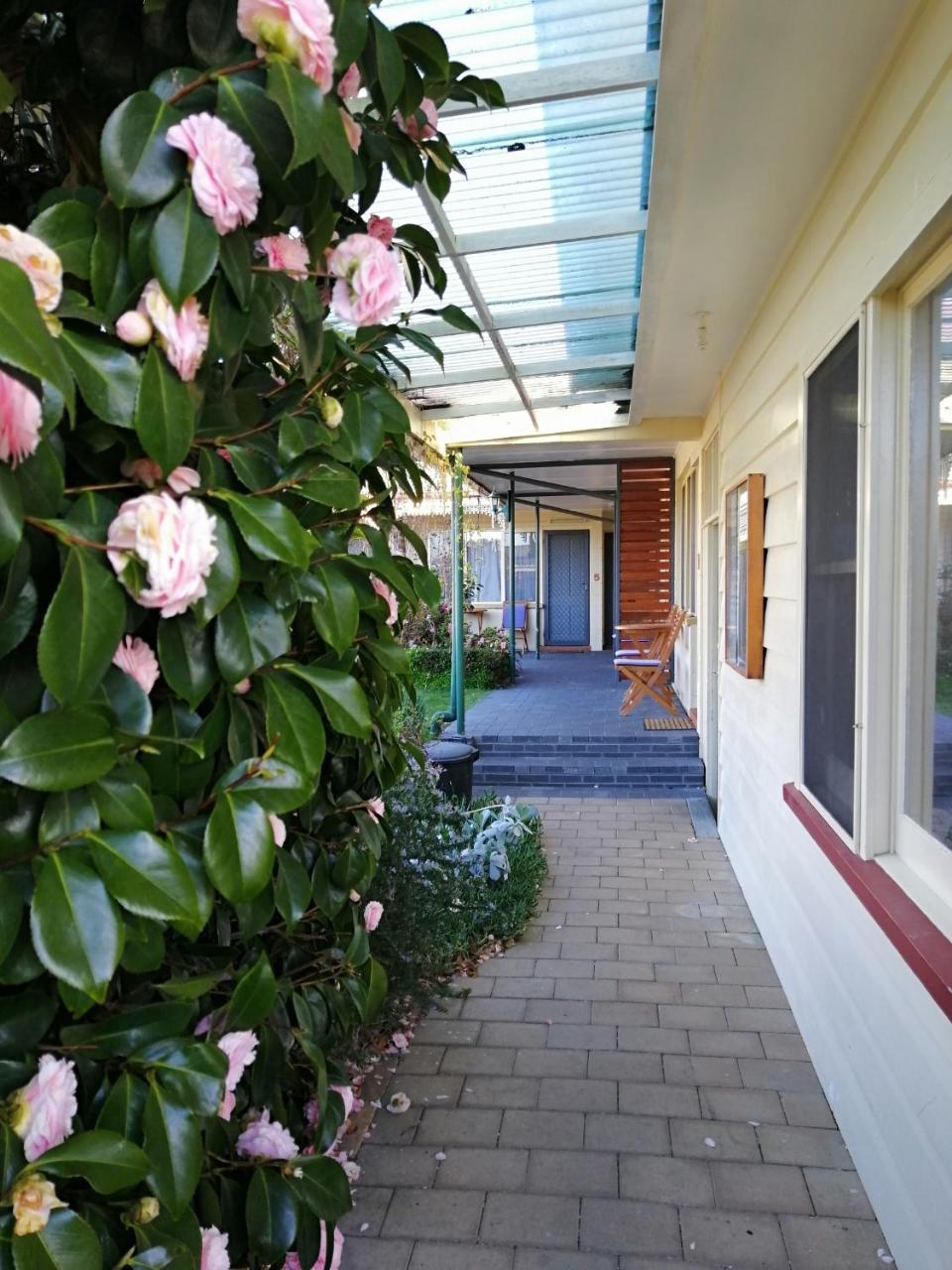 Wintersun Gardens Motel Bicheno Dış mekan fotoğraf